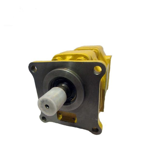 SUMITOMO QT63-100F-A High Pressure Gear Pump #1 image