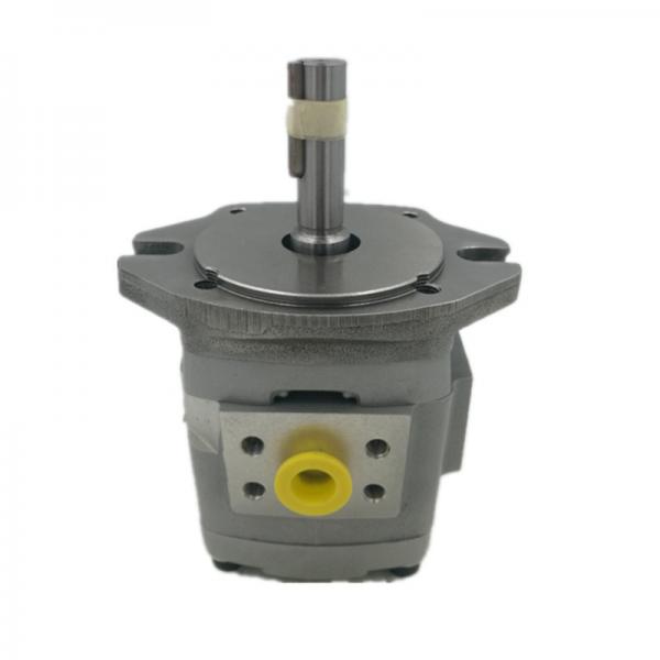 SUMITOMO QT31-20-A Low Pressure Gear Pump #2 image